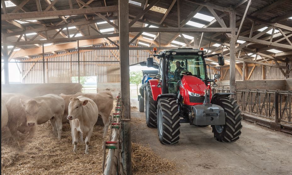 Tractor next to some sheep